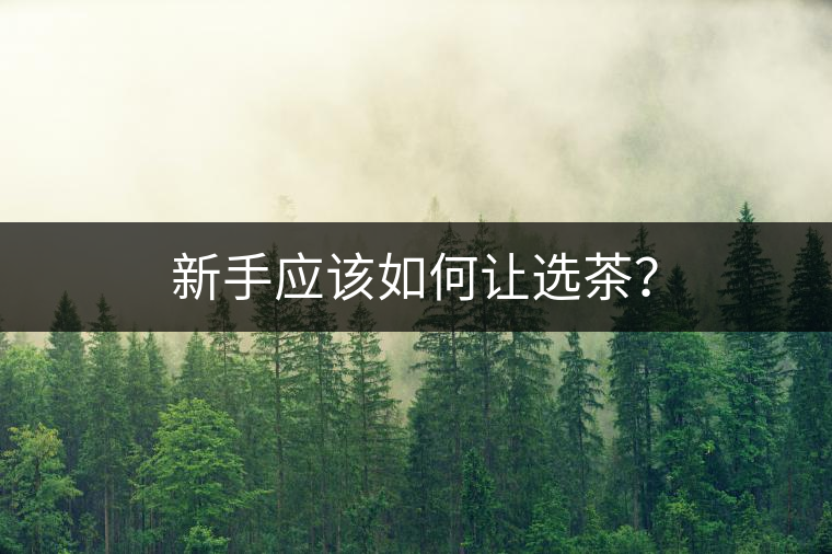 新手應(yīng)該如何讓選茶？