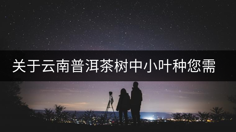 關(guān)于云南普洱茶樹(shù)中小葉種您需要知道的 關(guān)于云南普洱茶樹(shù)中小葉種您需要知道的