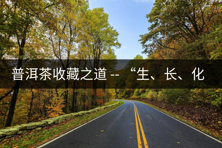 普洱茶收藏之道 -- “生、長、化、收、藏”