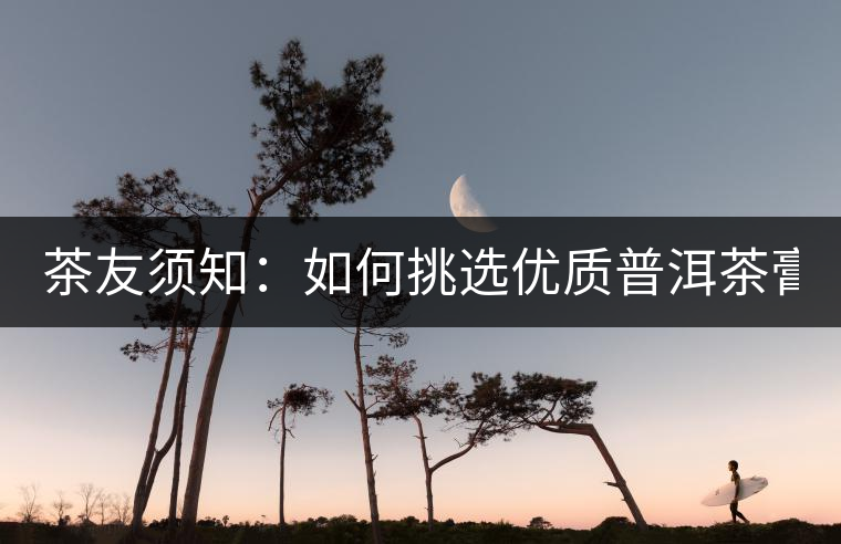 茶友須知:如何挑選優(yōu)質(zhì)普洱茶膏? 茶友須知:如何挑選優(yōu)質(zhì)普洱茶膏?