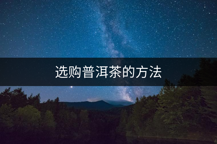 選購普洱茶的方法