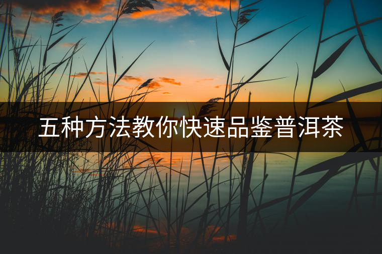 五種方法教你快速品鑒普洱茶 五種方法教你快速品鑒普洱茶