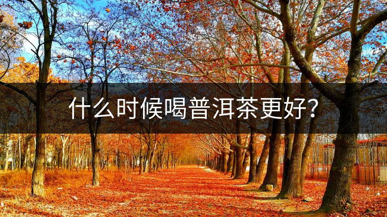 什么時(shí)候喝普洱茶更好？