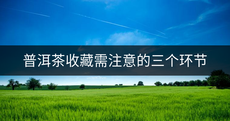 普洱茶收藏需注意的三個(gè)環(huán)節(jié)