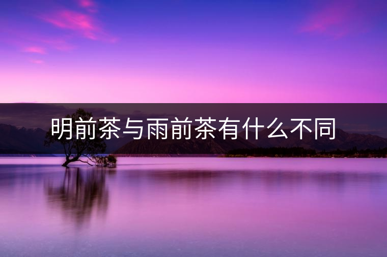 明前茶與雨前茶有什么不同 明前茶與雨前茶有什么不同