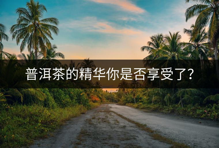 普洱茶的精華你是否享受了？