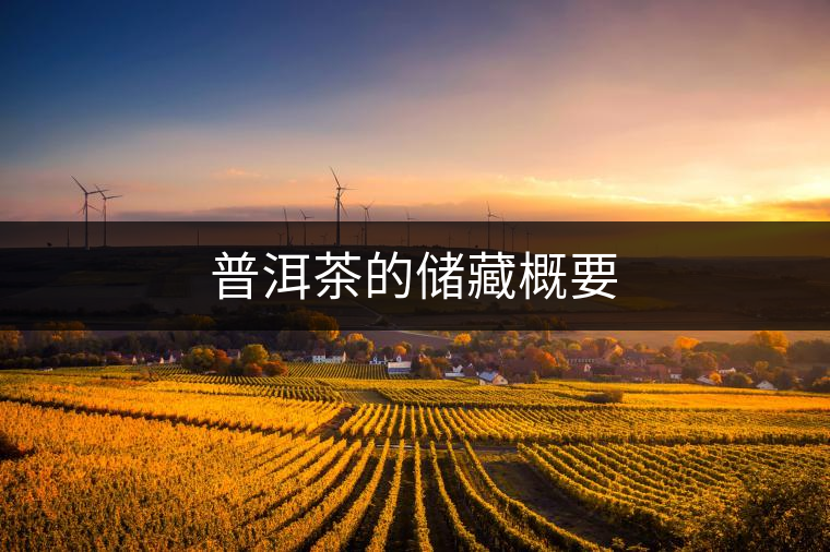 普洱茶的儲藏概要