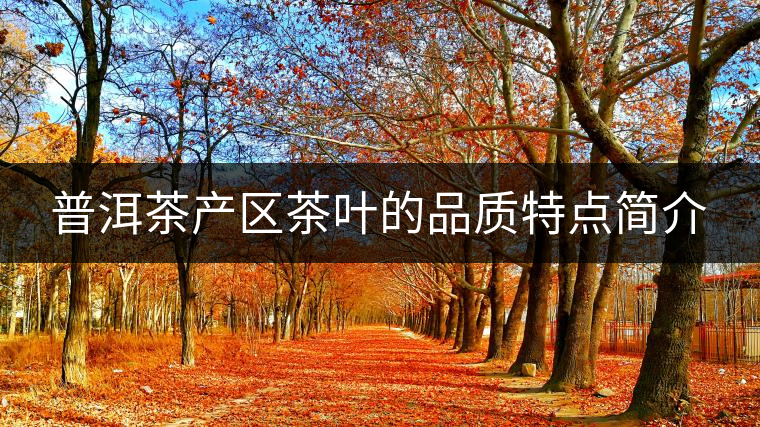 普洱茶產(chǎn)區(qū)茶葉的品質(zhì)特點簡介 普洱茶產(chǎn)區(qū)茶葉的品質(zhì)特點簡介
