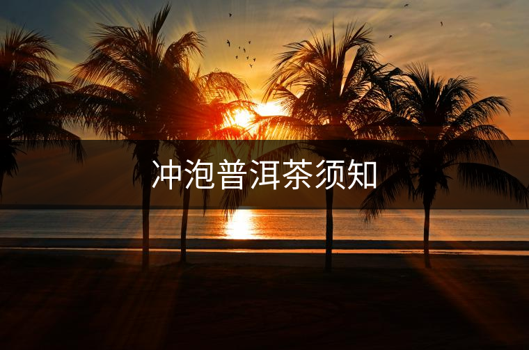 沖泡普洱茶須知 沖泡普洱茶須知