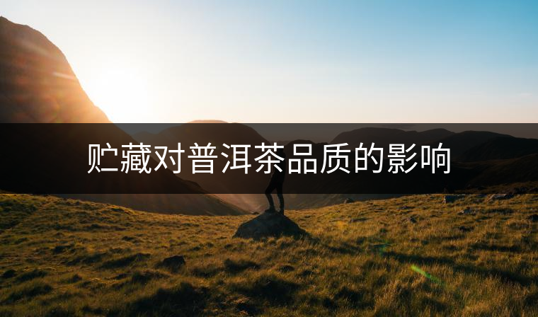 貯藏對普洱茶品質的影響