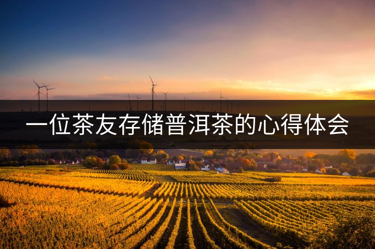 一位茶友存儲(chǔ)普洱茶的心得體會(huì)