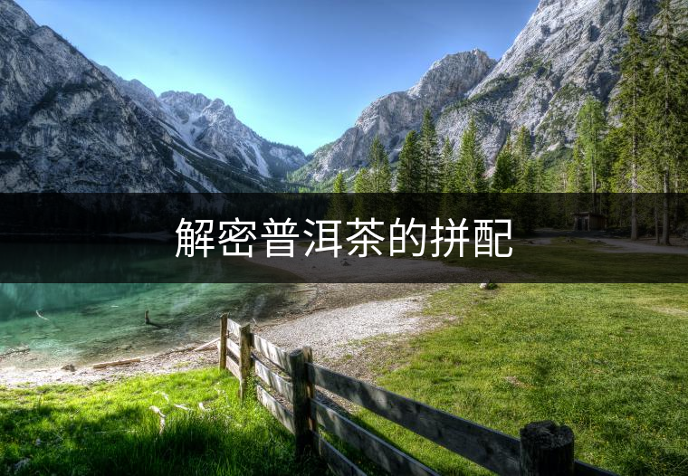 解密普洱茶的拼配 解密普洱茶的拼配