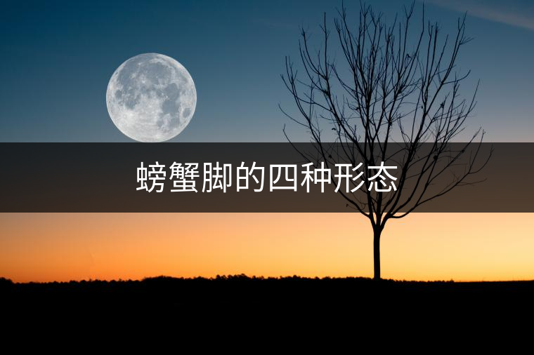 螃蟹腳的四種形態(tài) 螃蟹腳的四種形態(tài)