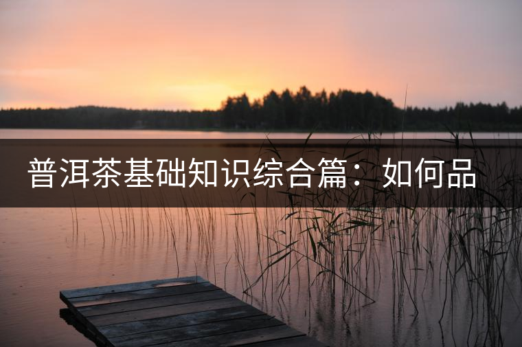 普洱茶基礎(chǔ)知識綜合篇:如何品鑒普洱茶 普洱茶基礎(chǔ)知識綜合篇:如何品鑒普洱茶