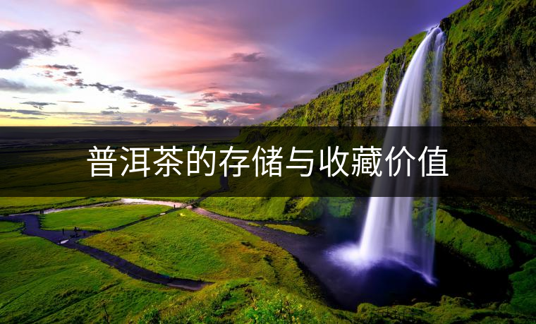 普洱茶的存儲(chǔ)與收藏價(jià)值