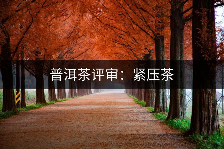 普洱茶評(píng)審：緊壓茶
