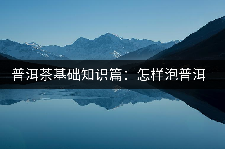 普洱茶基礎(chǔ)知識篇：怎樣泡普洱茶才會更好喝？