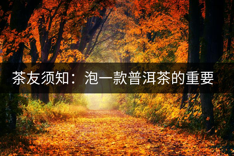 茶友須知：泡一款普洱茶的重要因素
