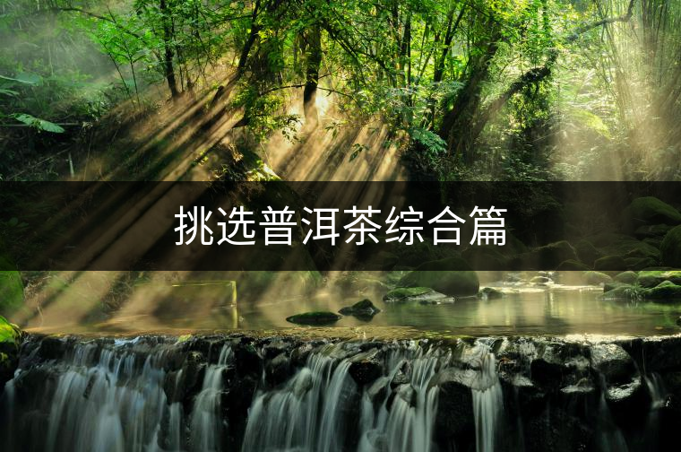 挑選普洱茶綜合篇 挑選普洱茶綜合篇