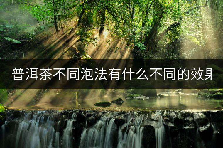 普洱茶不同泡法有什么不同的效果？