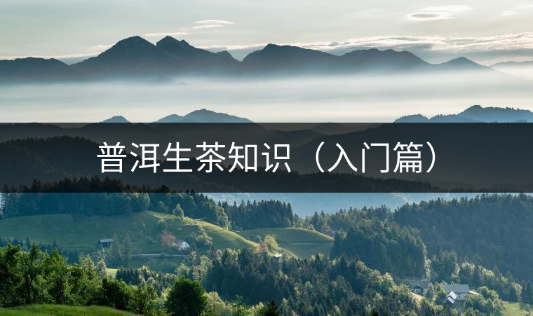 普洱生茶知識(shí)(入門篇) 普洱生茶知識(shí)(入門篇)