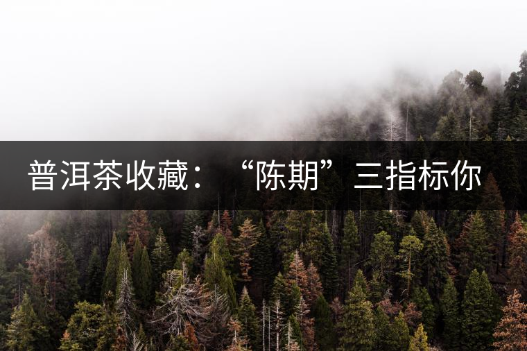 普洱茶收藏：“陳期”三指標你知道嗎？