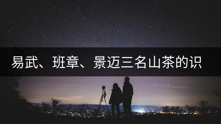 易武、班章、景邁三名山茶的識別