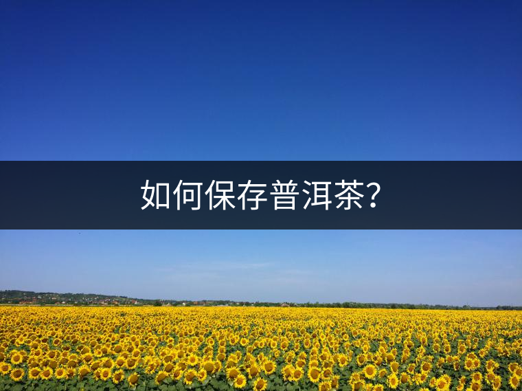 如何保存普洱茶？