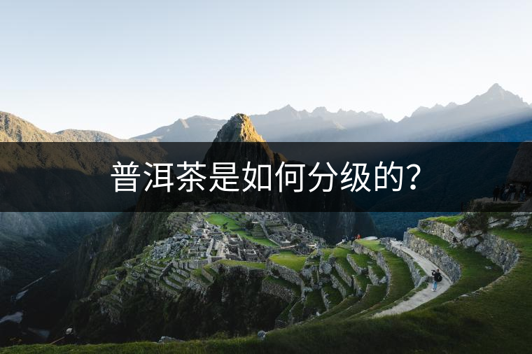 普洱茶是如何分級(jí)的？
