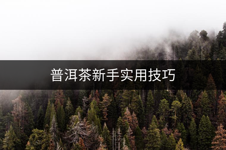 普洱茶新手實用技巧