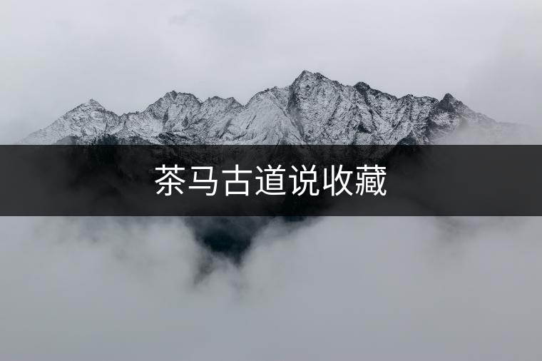 茶馬古道說收藏