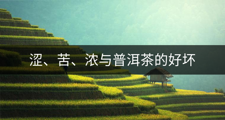 澀、苦、濃與普洱茶的好壞