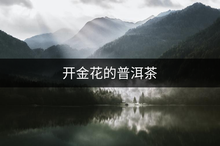 開金花的普洱茶 開金花的普洱茶
