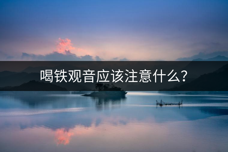 喝鐵觀音應(yīng)該注意什么? 喝鐵觀音應(yīng)該注意什么?