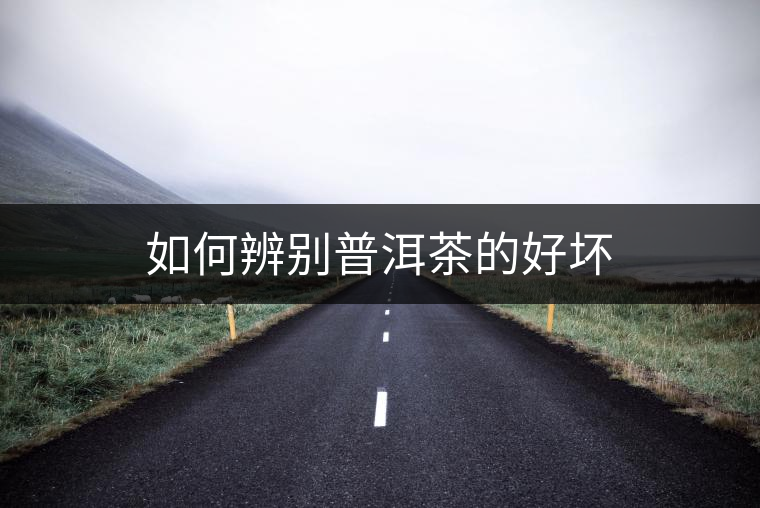 如何辨別普洱茶的好壞 如何辨別普洱茶的好壞