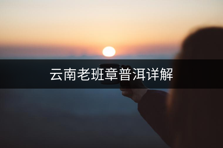 云南老班章普洱詳解 云南老班章普洱詳解