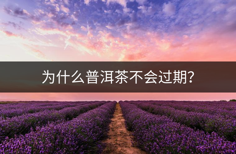 為什么普洱茶不會(huì)過(guò)期？