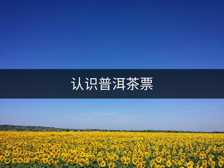 認(rèn)識(shí)普洱茶票