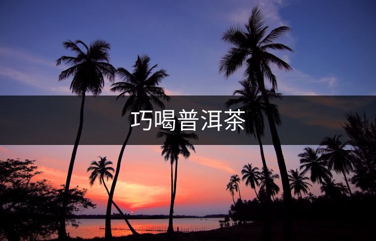 巧喝普洱茶 巧喝普洱茶