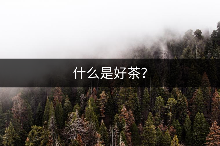 什么是好茶？