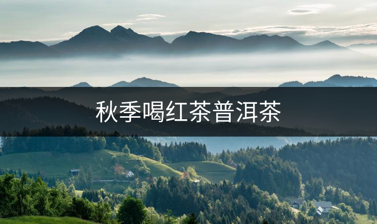 秋季喝紅茶普洱茶 秋季喝紅茶普洱茶