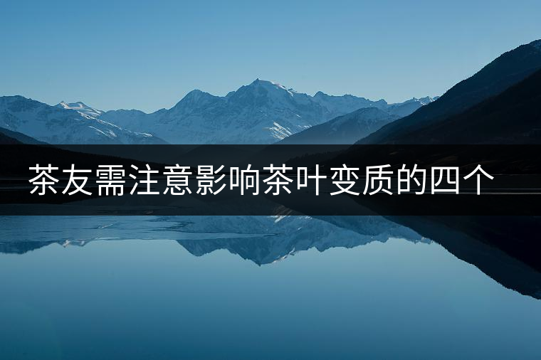 茶友需注意影響茶葉變質(zhì)的四個(gè)環(huán)境條件