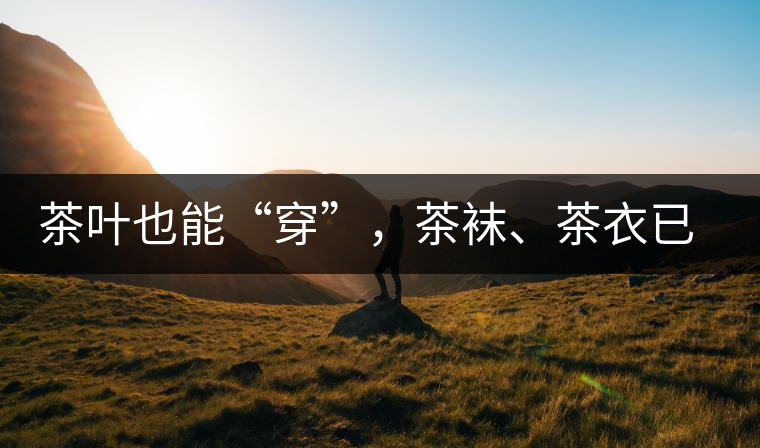 茶葉也能“穿”，茶襪、茶衣已進(jìn)入研發(fā)階段