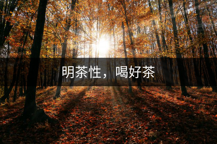 明茶性，喝好茶
