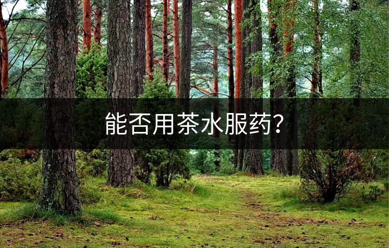 能否用茶水服藥？