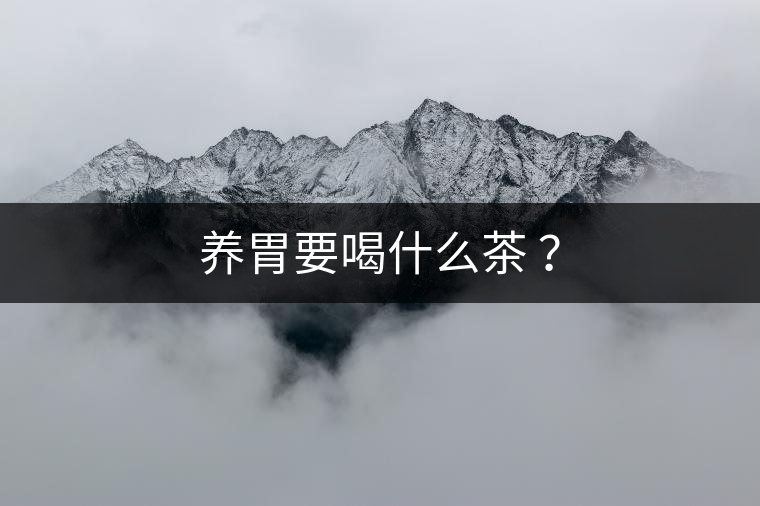養(yǎng)胃要喝什么茶 ? 養(yǎng)胃要喝什么茶 ?