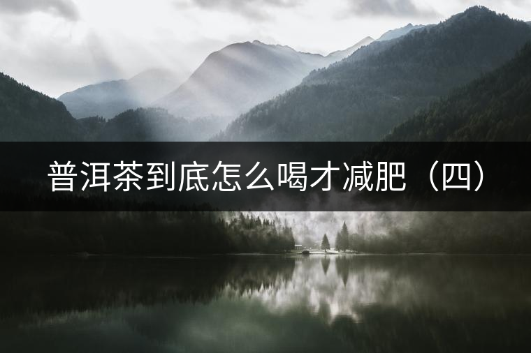 普洱茶到底怎么喝才減肥(四) 普洱茶到底怎么喝才減肥(四)