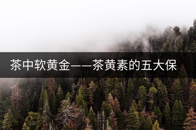 茶中軟黃金——茶黃素的五大保健作用及其機(jī)理 茶中軟黃金——茶黃素的五大保健作用及其機(jī)理