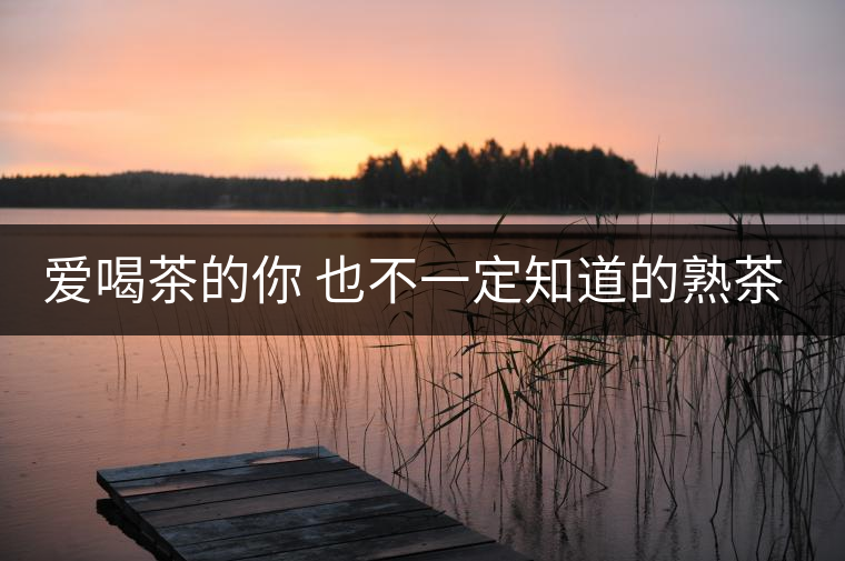 愛喝茶的你 也不一定知道的熟茶知識！