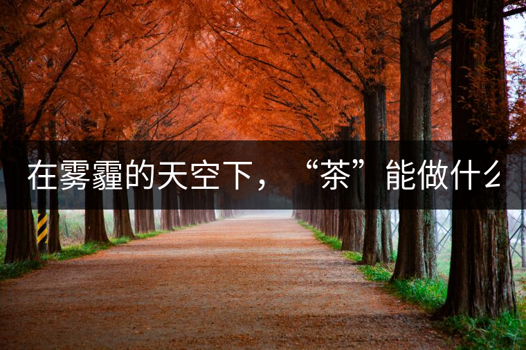 在霧霾的天空下，“茶”能做什么？